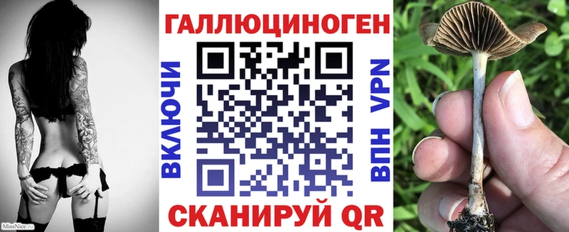 Купить закладки  Горно-Алтайск  Галлюциногенные грибы ЛСД 